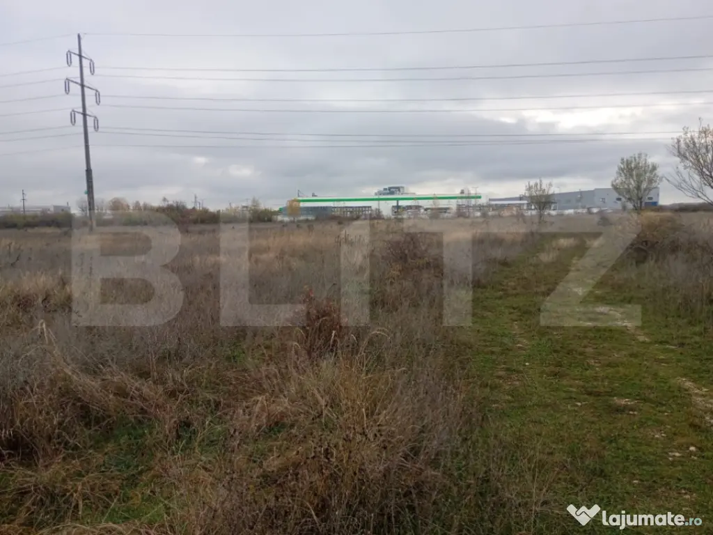 Teren 9.000 mp în Priseaca – Intravilan + Extravilan, apr