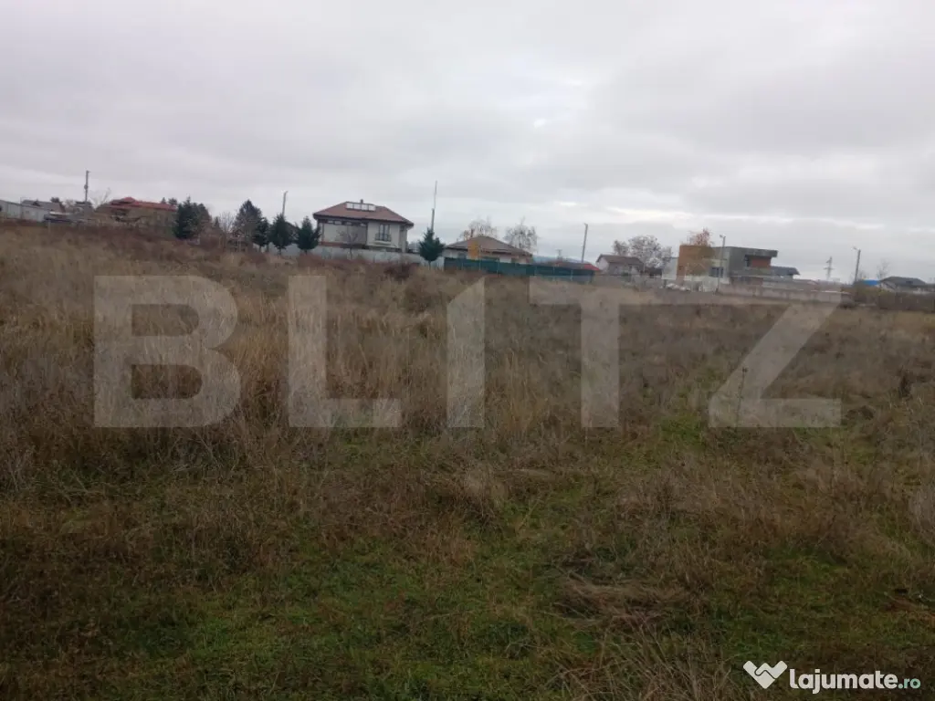 Teren 9.000 mp în Priseaca – Intravilan + Extravilan, apr