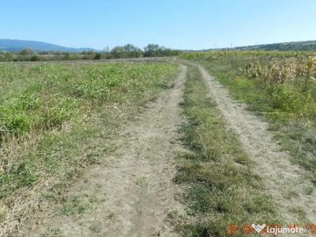 Teren extravilan arabil, situat in Oravita, Jud Caras-Sev...