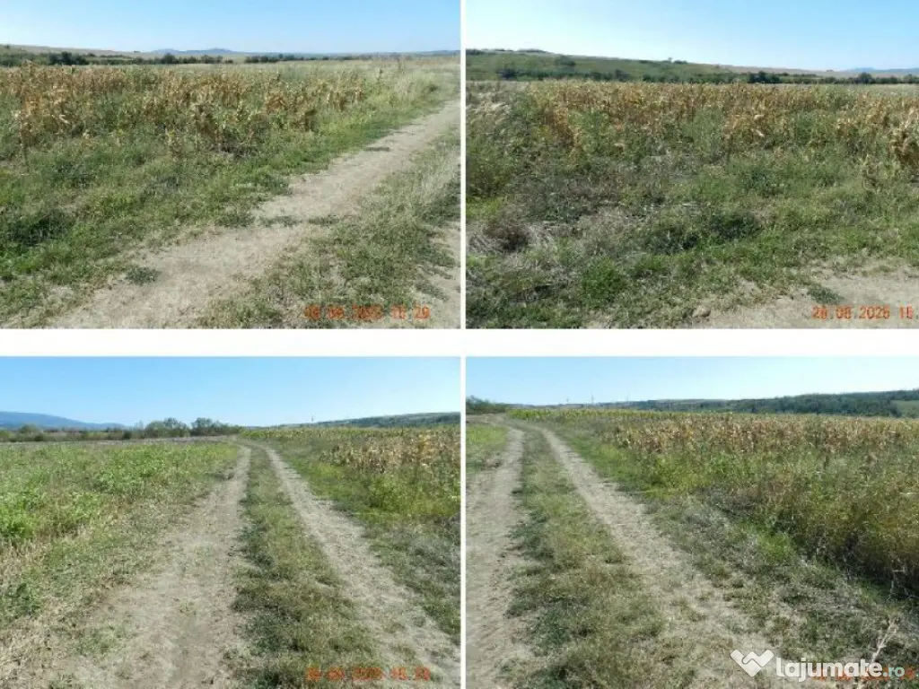 Teren extravilan arabil, situat in Oravita, Jud Caras-Sev...