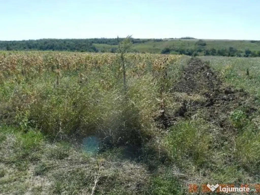 Teren extravilan arabil, situat in Oravita, Jud Caras-Sev...