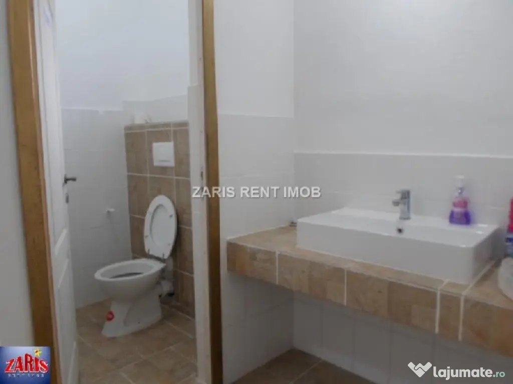 Spatii comerciale in Cocorastii Colt, Prahova 