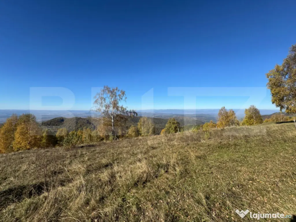 Teren extravilan 6.360 mp in Târsa