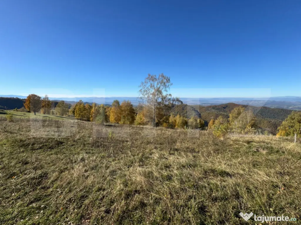 Teren extravilan 6.360 mp in Târsa