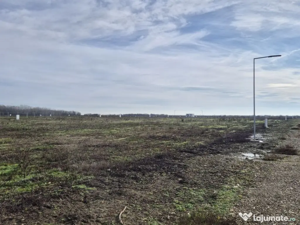 Loturi de teren 638 mp - curent tras la teren - Crevedia 