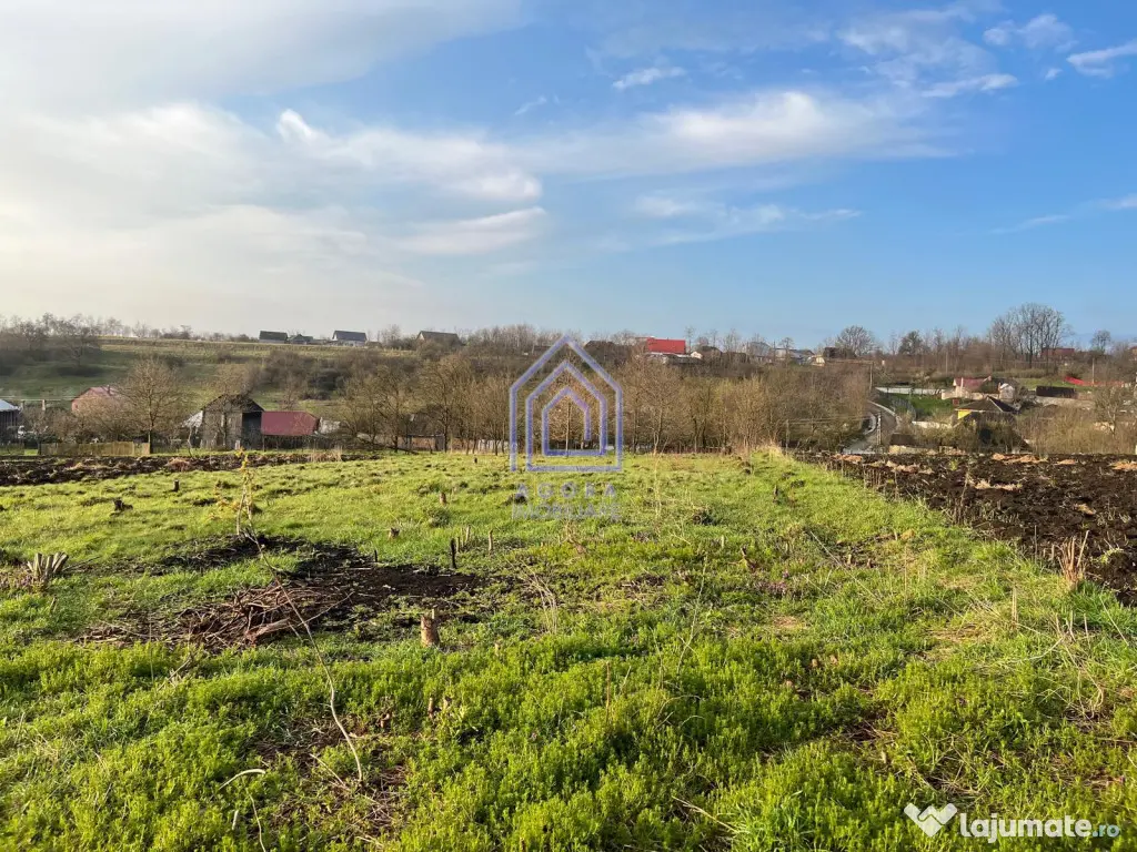 48 ari teren , cu casa batraneasca, Antoceni, Forasti, Sucea