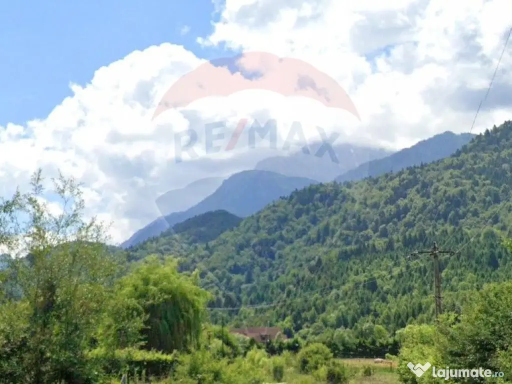 Teren 1600 mp cu proiect & autorizație, Chalet Duplex R?... 