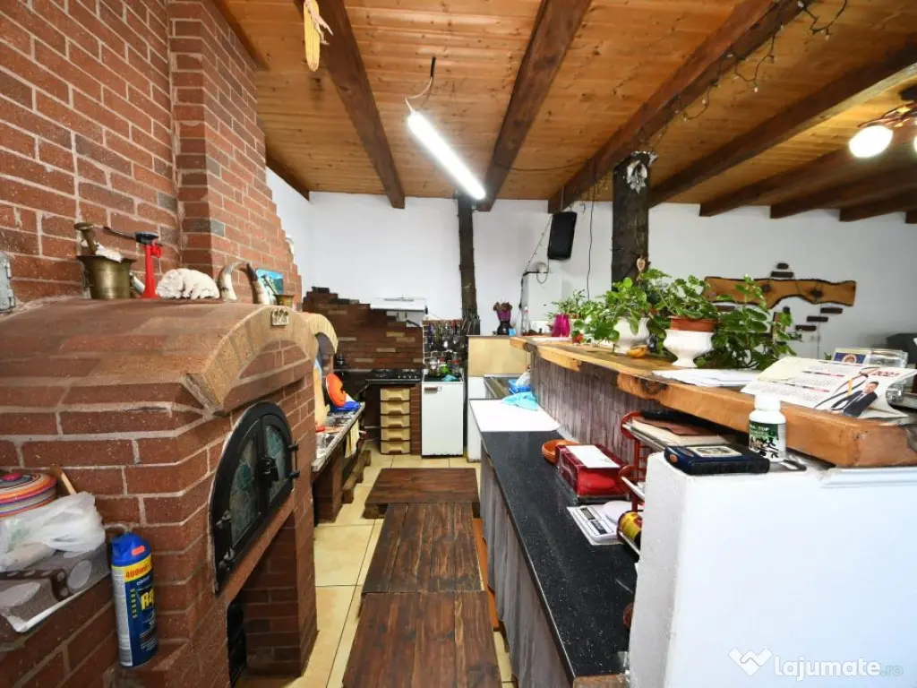 De vanzare casa cu 3 apartamente + anexa 75 mp, Comision 0% 