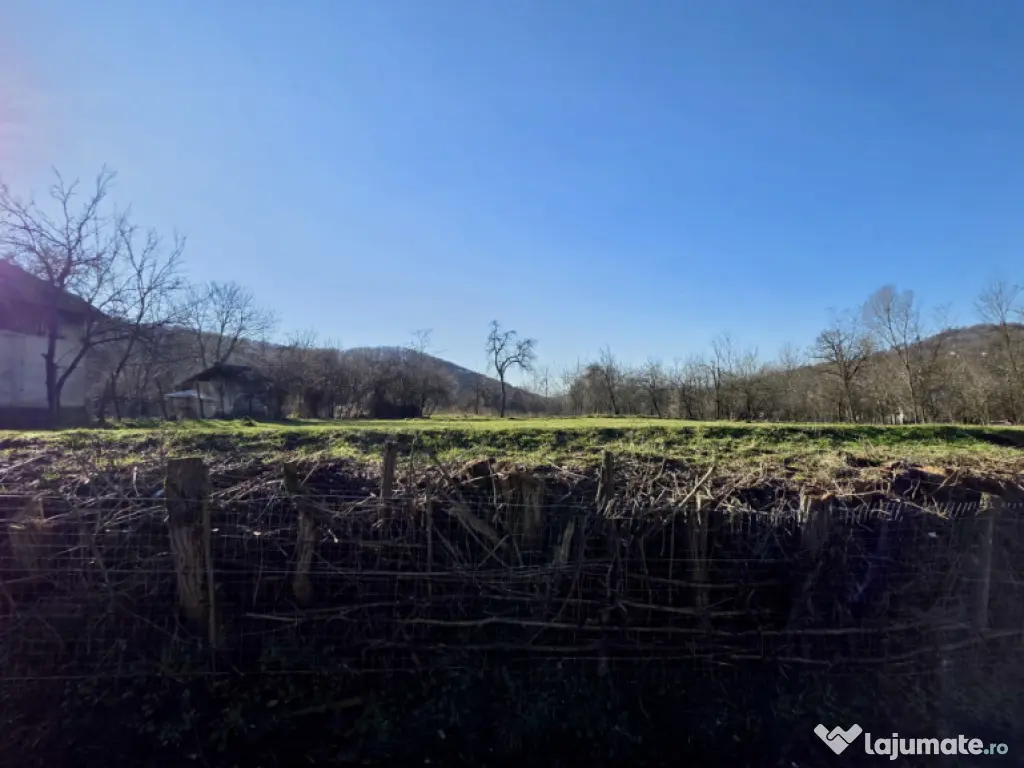 Teren 4.549 mp intravilan, cu posibilitate de parcelare.