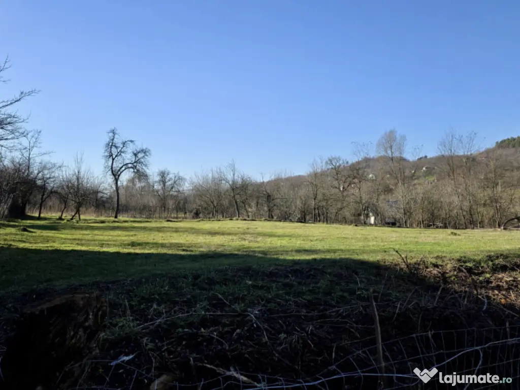 Teren 4.549 mp intravilan, cu posibilitate de parcelare.