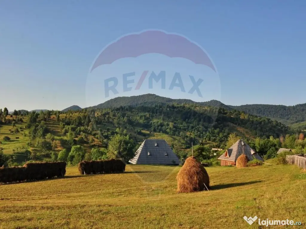 Vanzare 3 case de vacanta si 15750 mp teren, Botiza, Mara... 