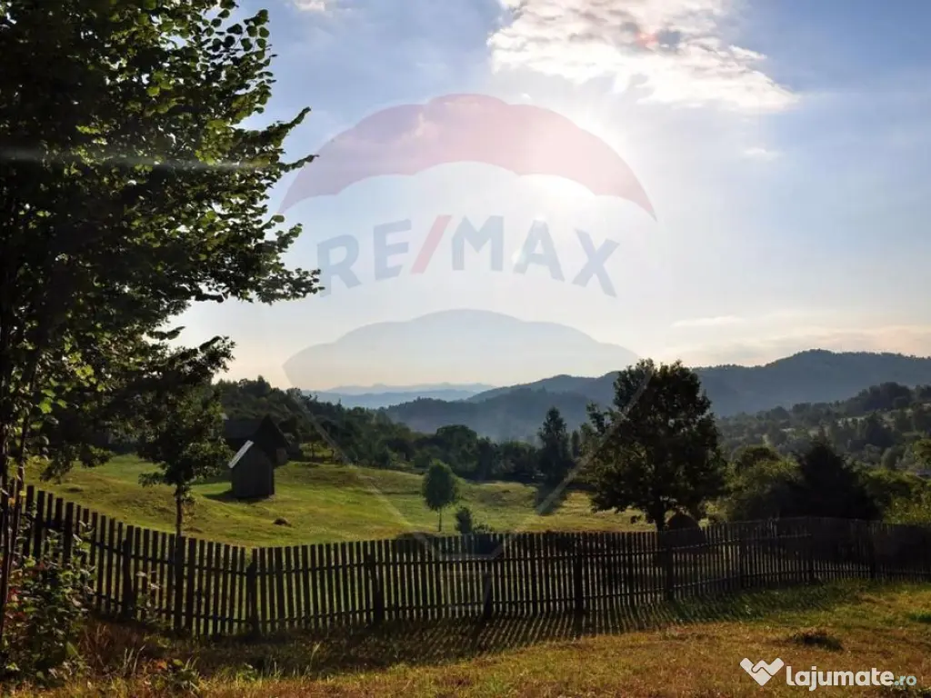 Vanzare 3 case de vacanta si 15750 mp teren, Botiza, Mara... 