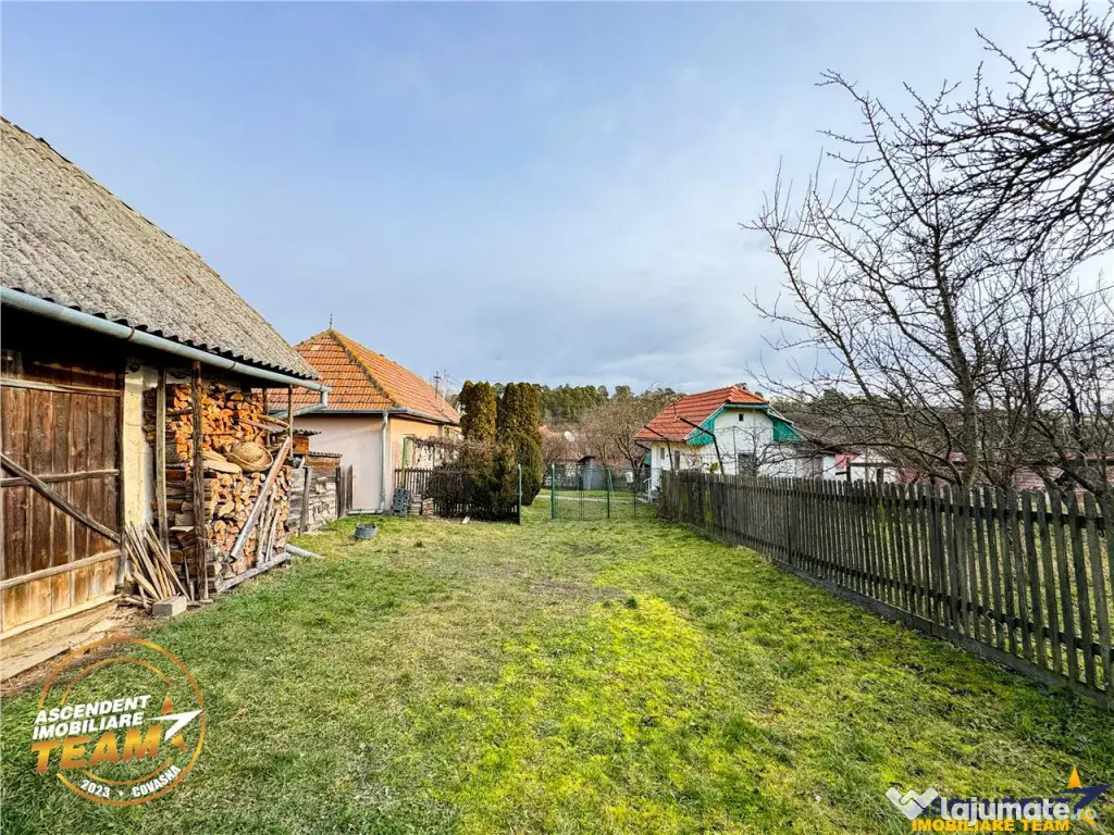 FILM! 5.000mp teren intravilan cu casuta rustica, Dalnic, Co