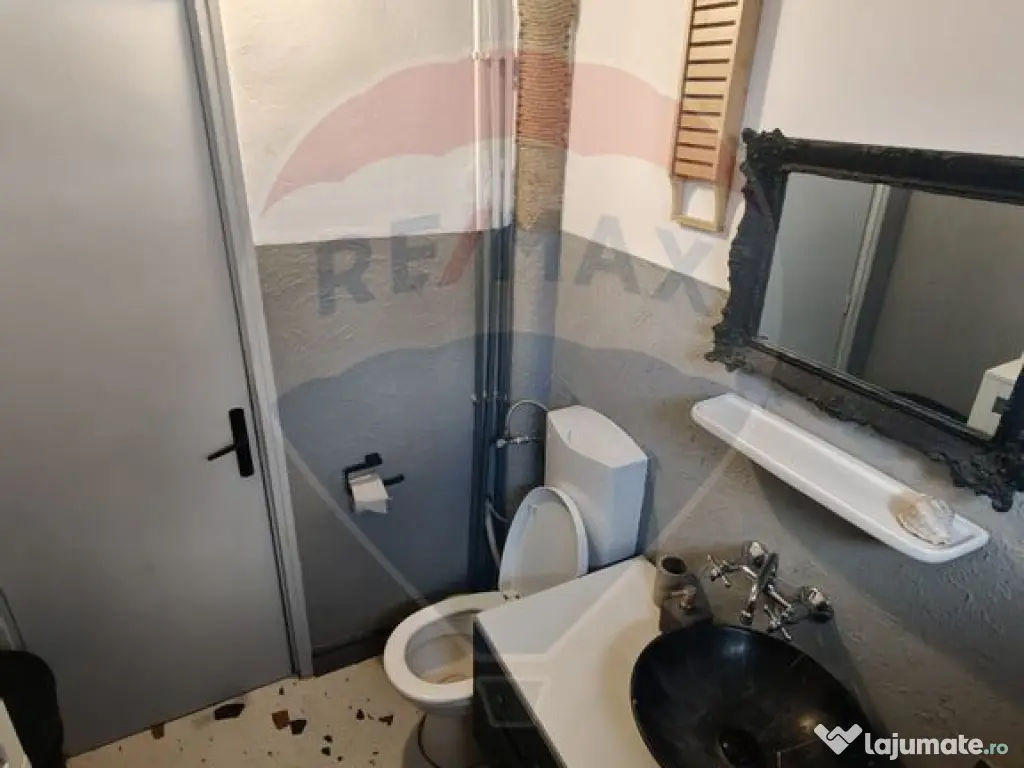 Apartament cu 3 camere de inchiriat Victor Babeș etaj 1 