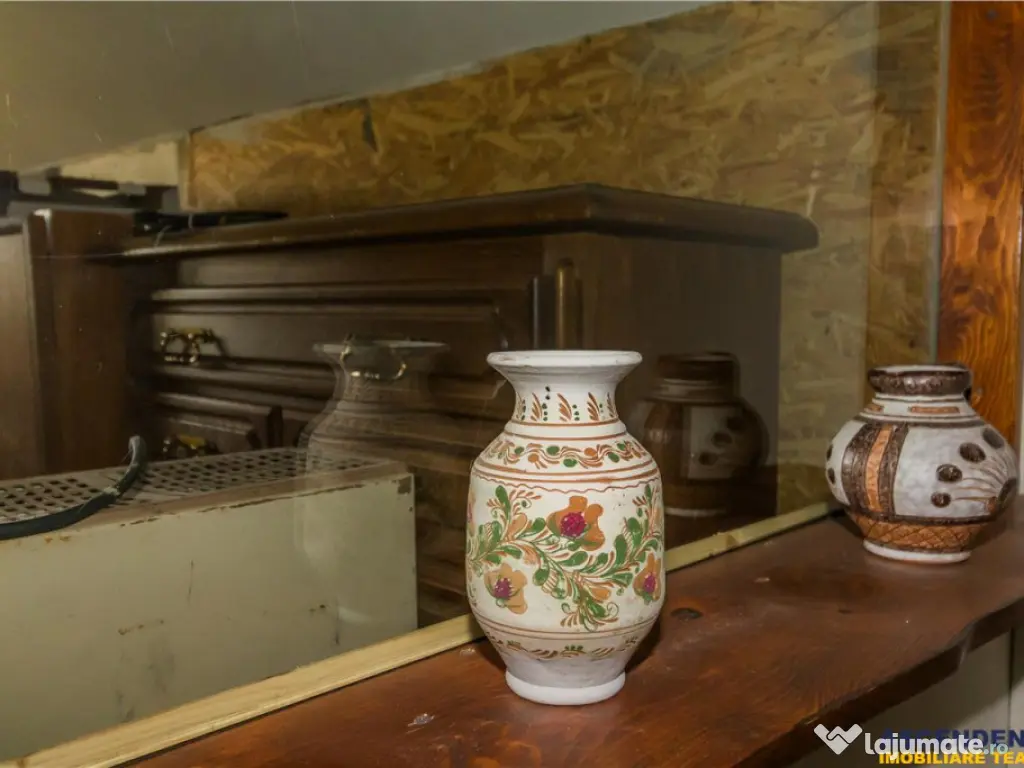 FILM! Constructie rustica tip Casa Verde, cu parau si panora 