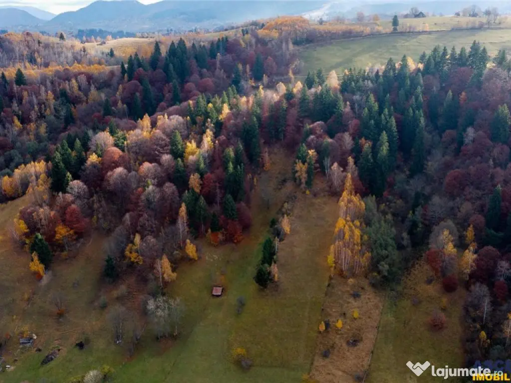 FILM! Constructie rustica tip Casa Verde, cu parau si panora 