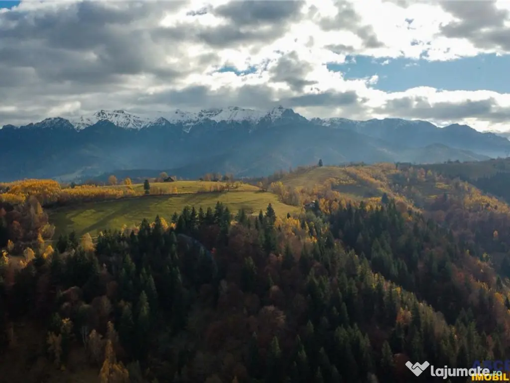 FILM! Constructie rustica tip Casa Verde, cu parau si panora 