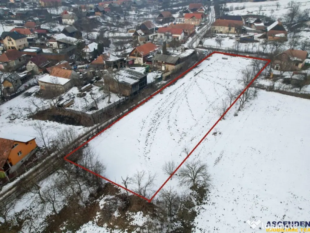 Film! 2.700 mp:refugiu al linistii si oportunitatii imobilia