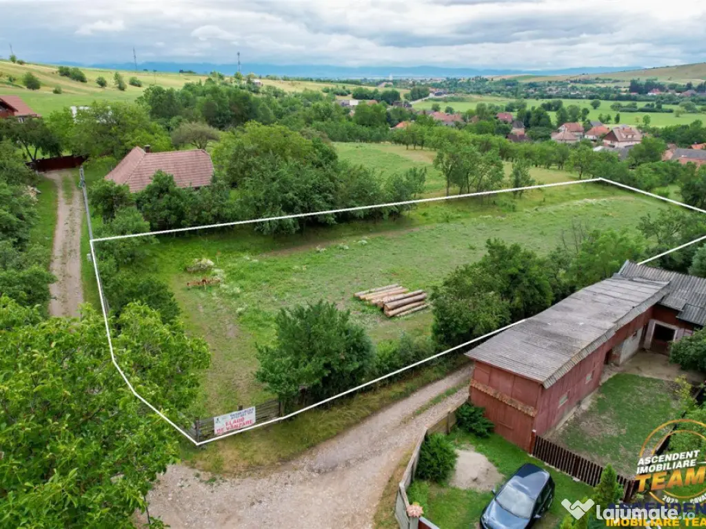 Film! 2.700 mp:refugiu al linistii si oportunitatii imobilia