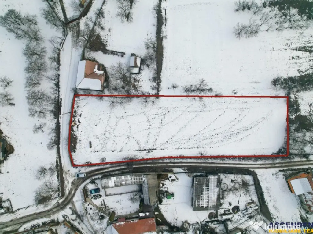 Film! 2.700 mp:refugiu al linistii si oportunitatii imobilia