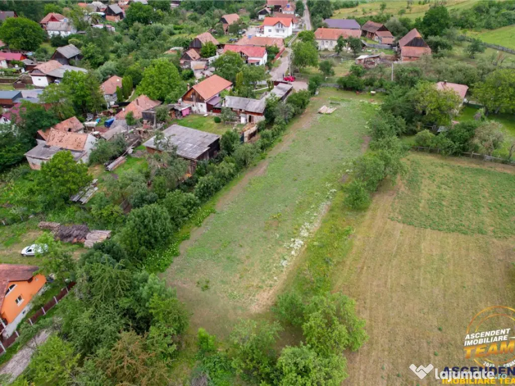 Film! 2.700 mp:refugiu al linistii si oportunitatii imobilia