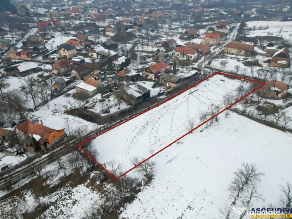 Film! 2.700 mp:refugiu al linistii si oportunitatii imobilia