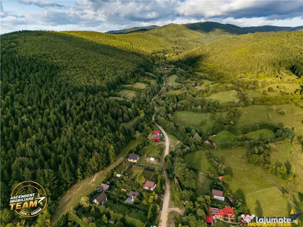 FILM! Teren extravilan, Ojdula, 4.800 mp, zona pitoreasca 