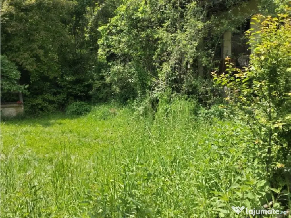 Domeniu verde autentic, 5.000mp, front la DJ, Valcele, Bra