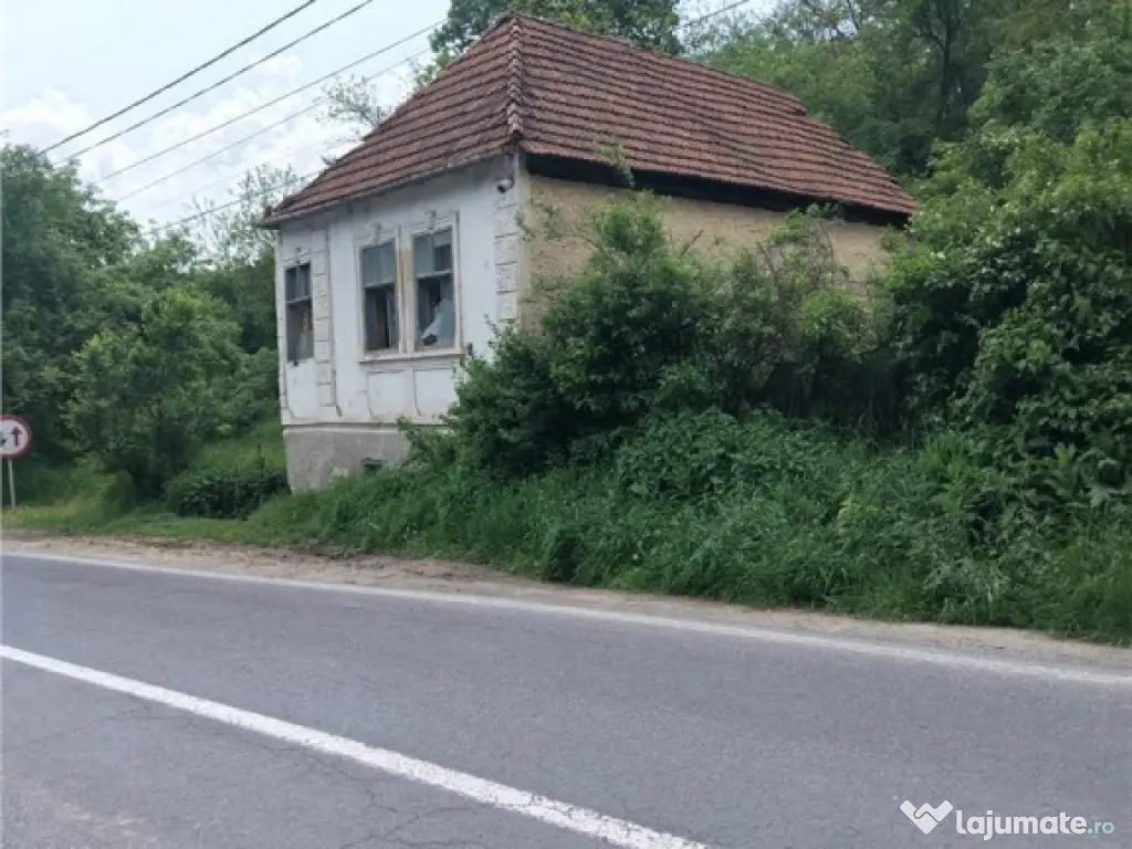 Domeniu verde autentic, 5.000mp, front la DJ, Valcele, Bra