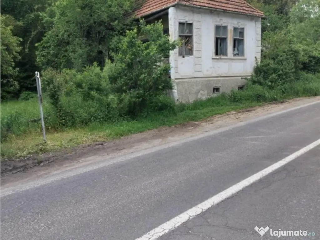 Domeniu verde autentic, 5.000mp, front la DJ, Valcele, Bra