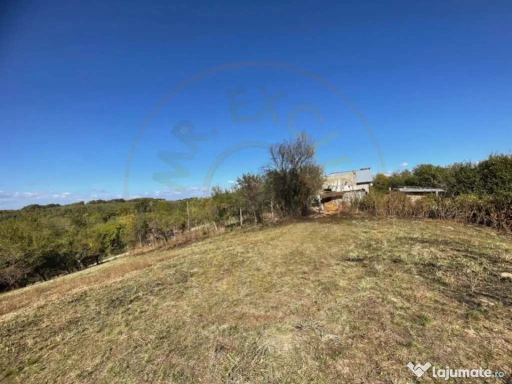 Teren Babana 5000mp intravilan 