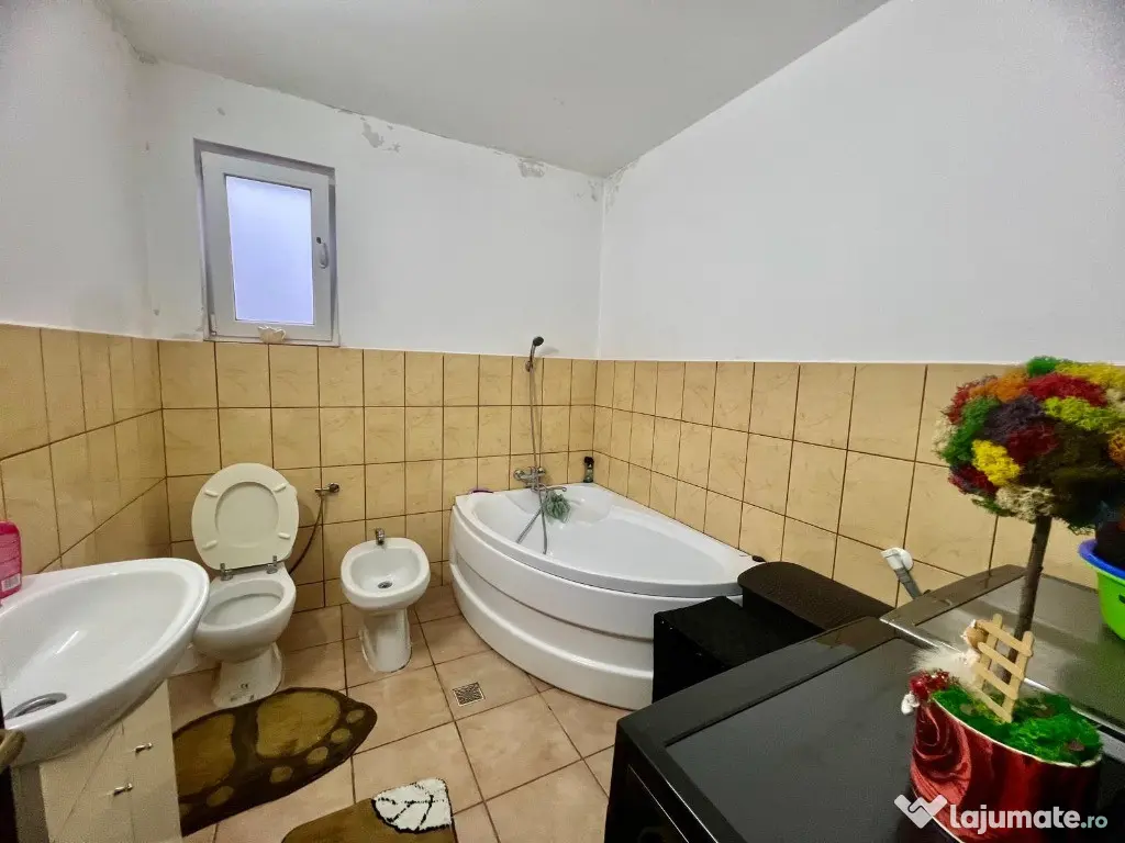 C/1563 De vânzare casă singur în curte în Mureș - Cristești 