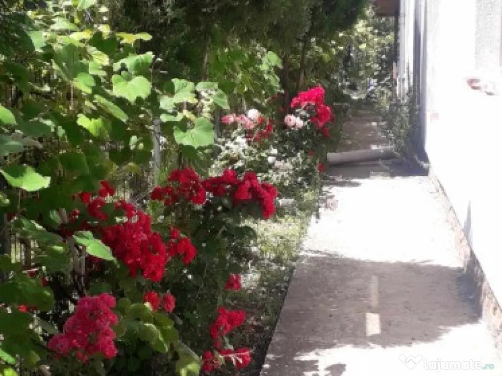 Casa Copacelu Valcea P+1+M