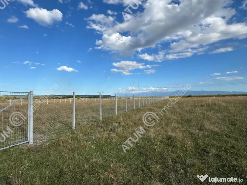 Teren 4200 mp situat in extravilanul zona Calea Surii Mici S