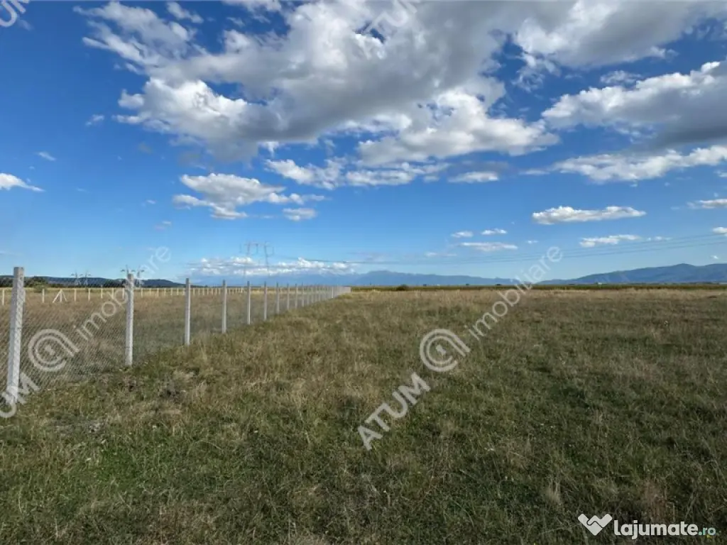 Teren 4200 mp situat in extravilanul zona Calea Surii Mici S 