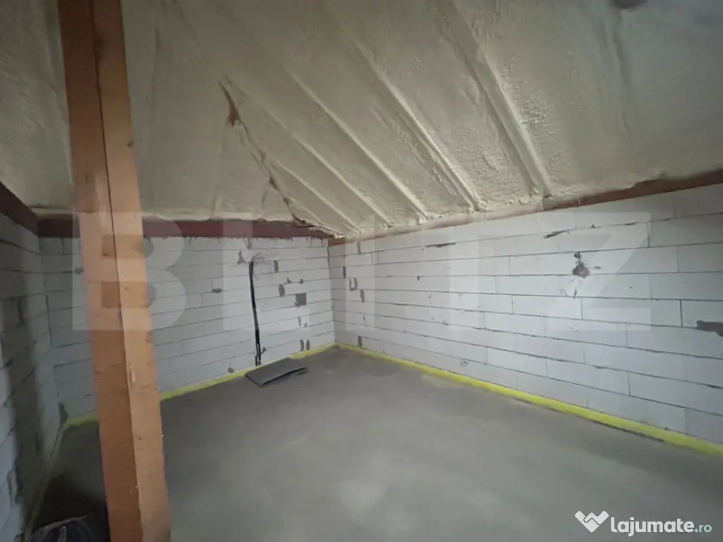 Casa P+M, 232 mp, 732 mp teren, zona Ionumi