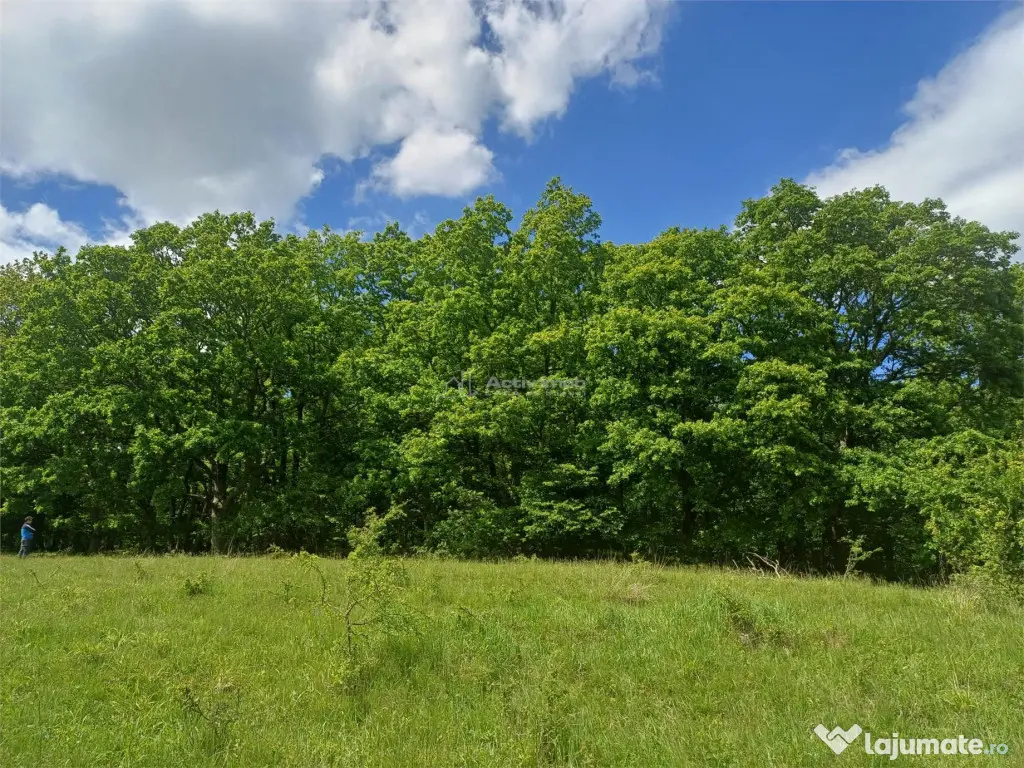Teren 550 mp de in Tocile 