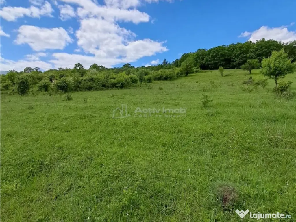 Teren 550 mp de in Tocile 