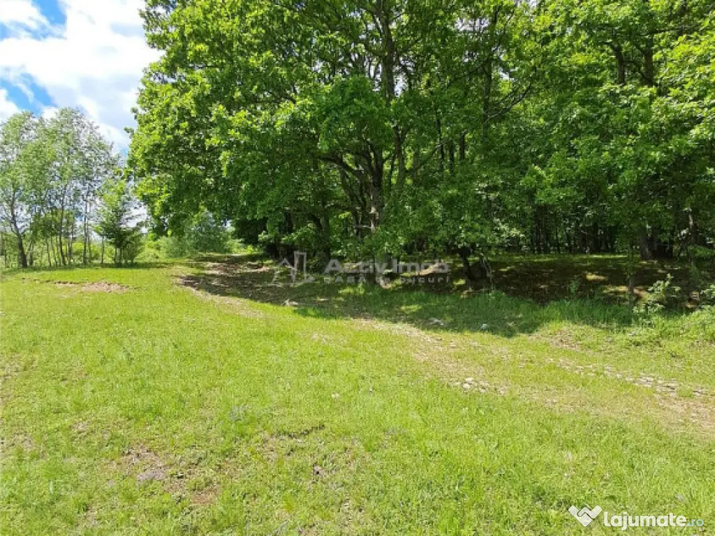 Teren 550 mp de in Tocile 