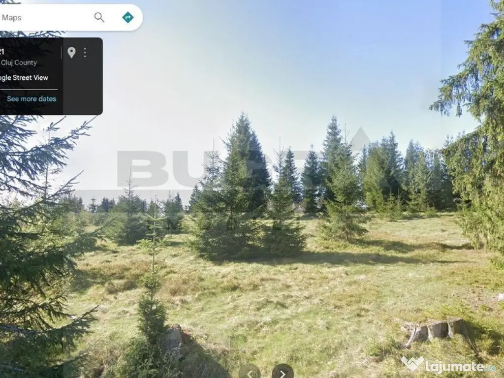 Teren intravilan, 1400 mp, Balcesti, Belis