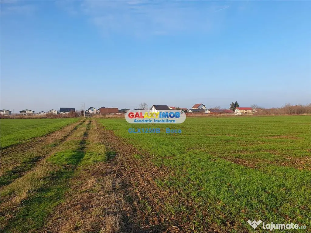 Teren intravilan Crevedia-Manastirea 