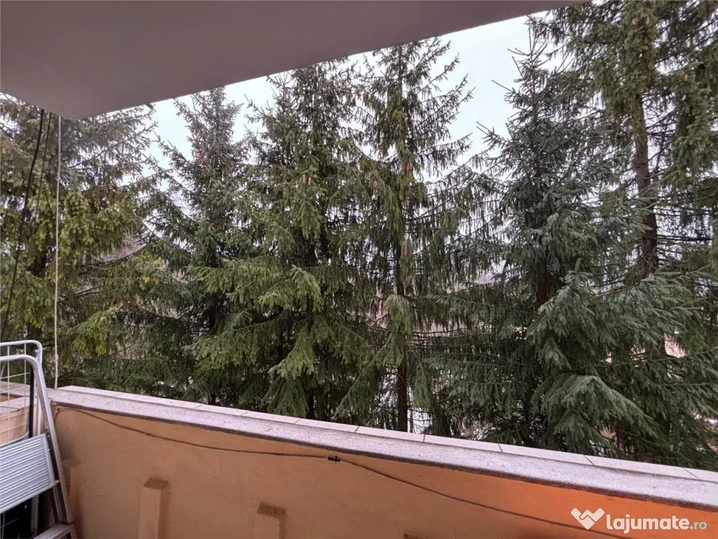 Apartament 2 Camere Central Predeal 