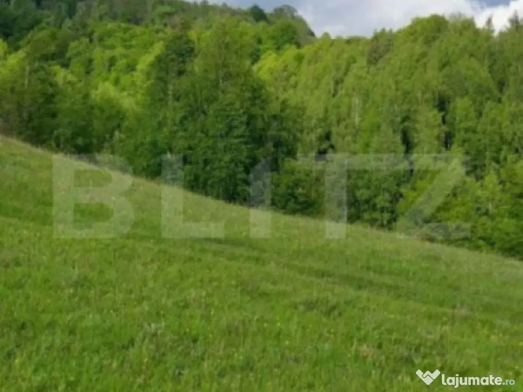 Teren intravilan 4552 mp, Ponorel, comuna Vidra