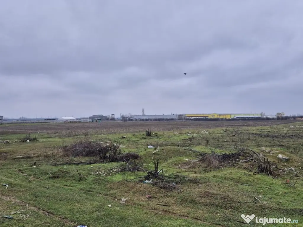 Teren intravilan 31497 mp - Chitila zona industriala de hale