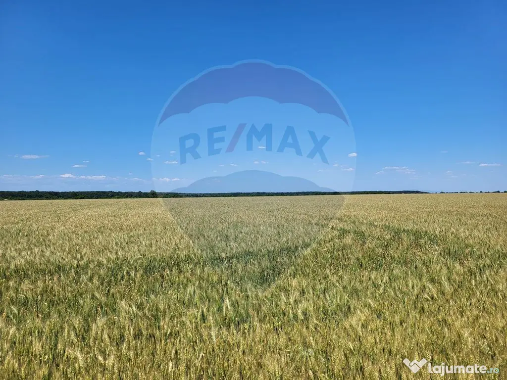 Teren intravilan 30,000mp Corbeanca P+1+E2 