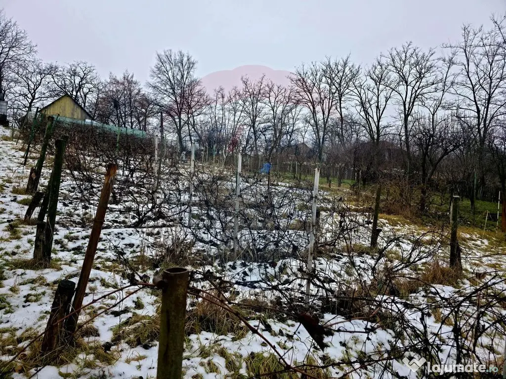 Teren intravilan 4,516mp Doina 