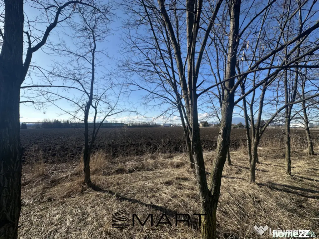 Teren Intravilan 60.000mp 