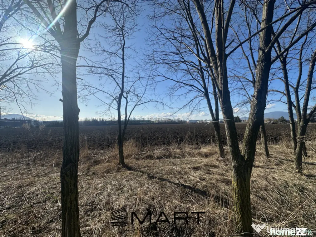 Teren Intravilan 60.000mp 