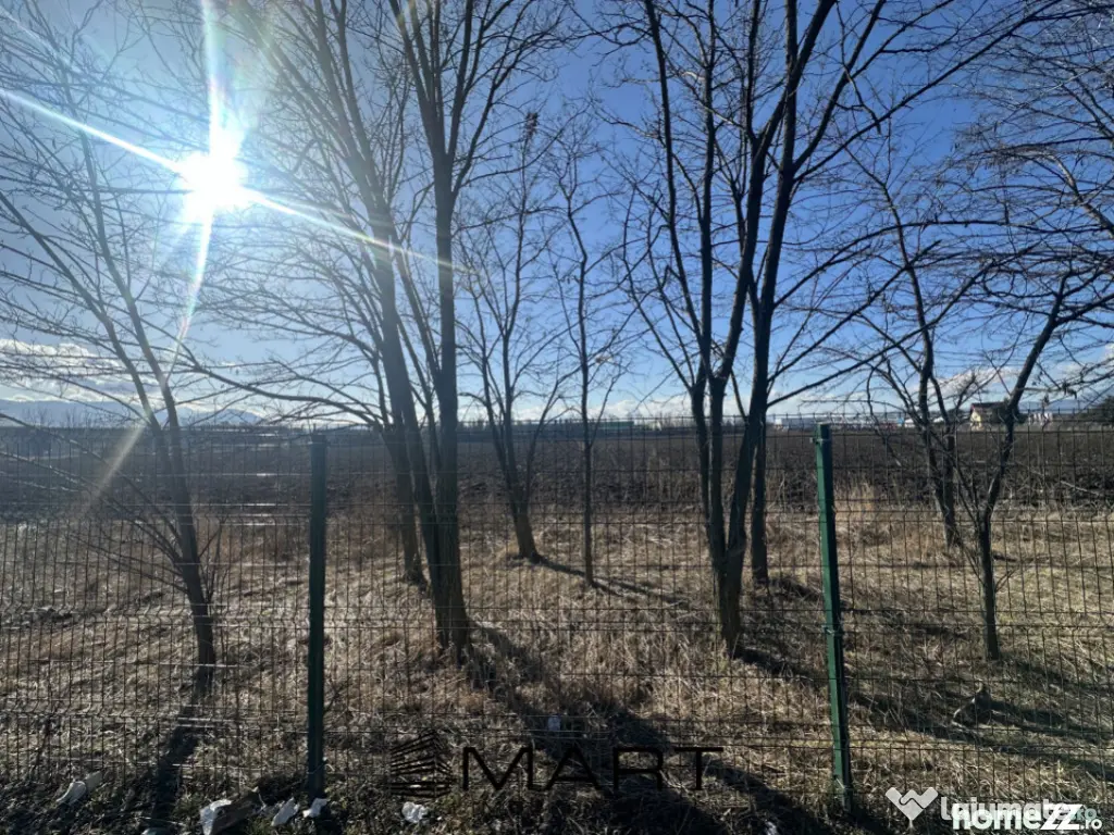 Teren Intravilan 60.000mp 