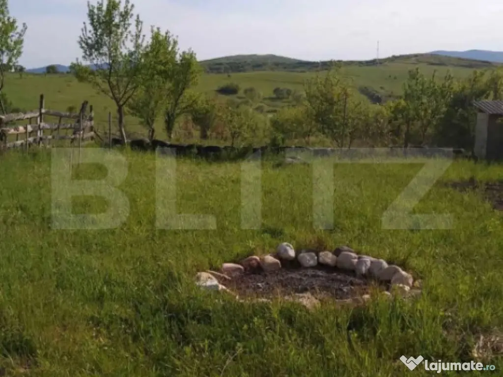 Teren extravilan de vanzare, Valea Budavului